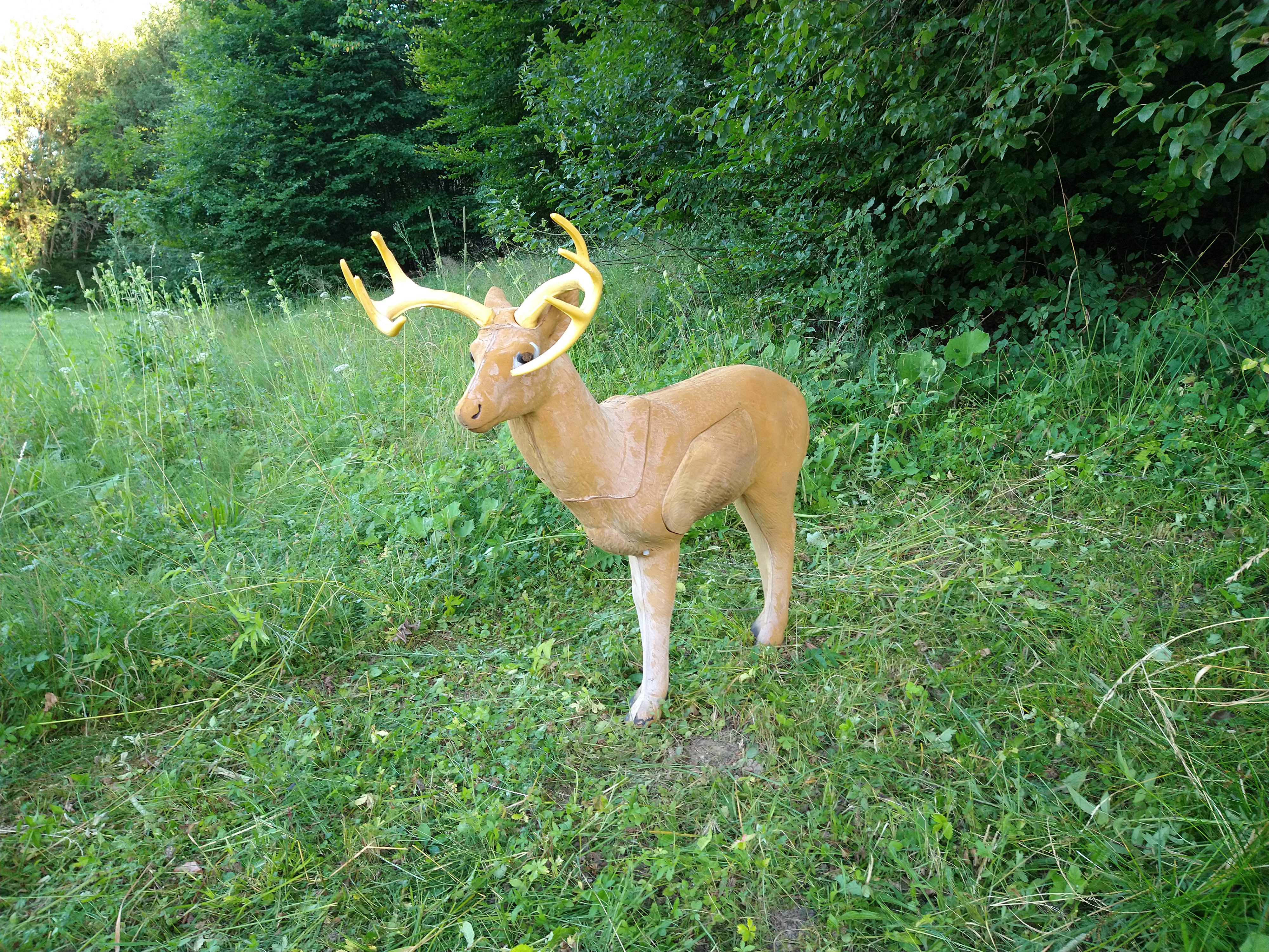 Thumbnail von Aufbau eines 3D Parcours